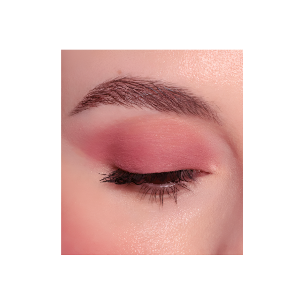 Sombra ojos Chromo Therapy Mat Finish EYESHADOW Tono 6 V.R. Vein